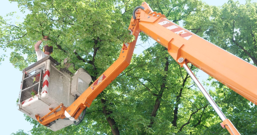 aerial lift for trimming